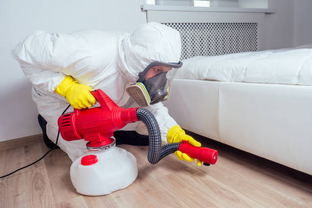 Flea Control Services in Monaca, PA