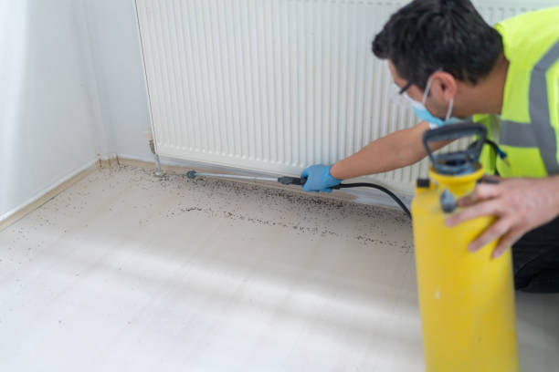 Professional Pest Control in Monaca, PA